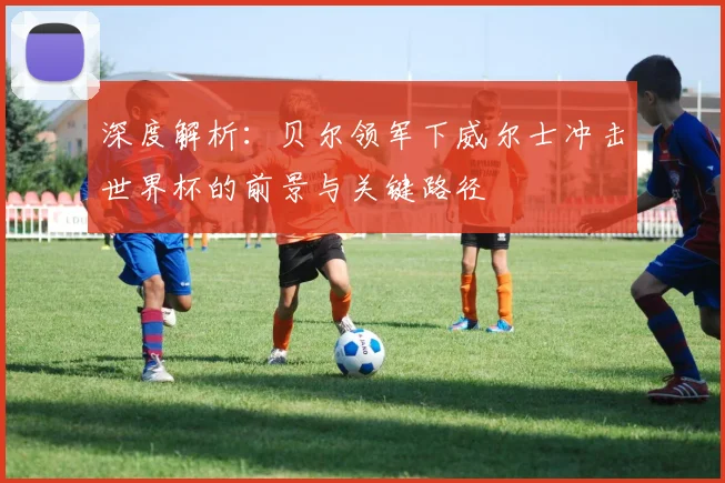 深度解析:贝尔领军下威尔士冲击世界杯的前景与关键路径