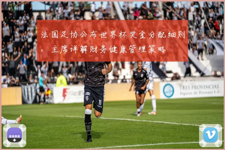 法国足协公布世界杯奖金分配细则，主席详解财务健康管理策略