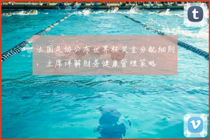 法国足协公布世界杯奖金分配细则,主席详解财务健康管理策略